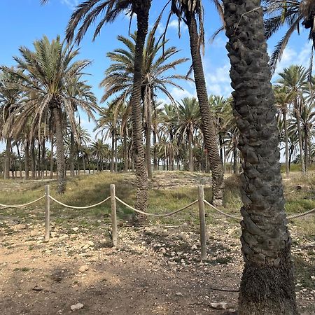 Despertar En Torreviejaヴィラ エクステリア 写真