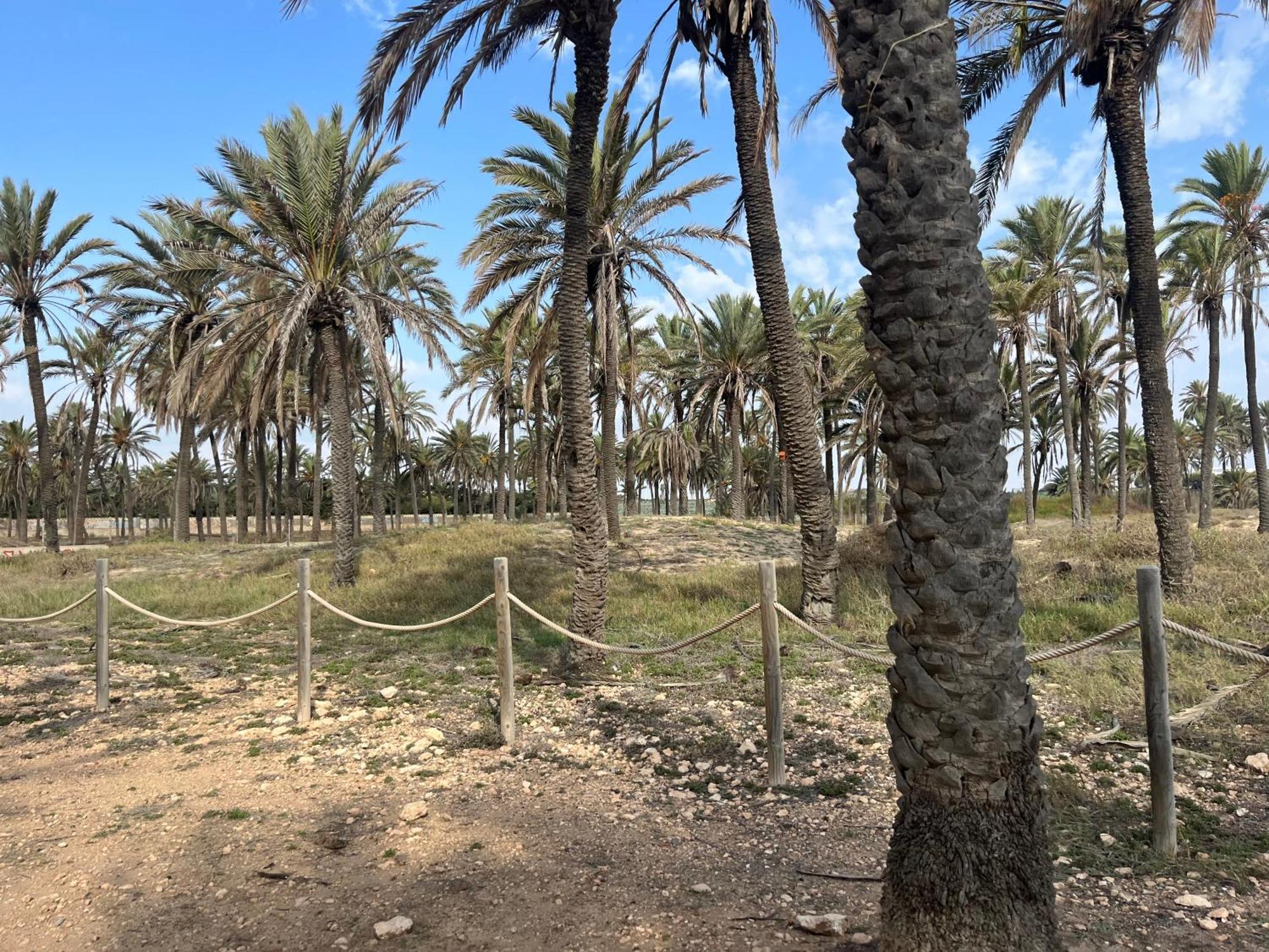 Despertar En Torreviejaヴィラ エクステリア 写真